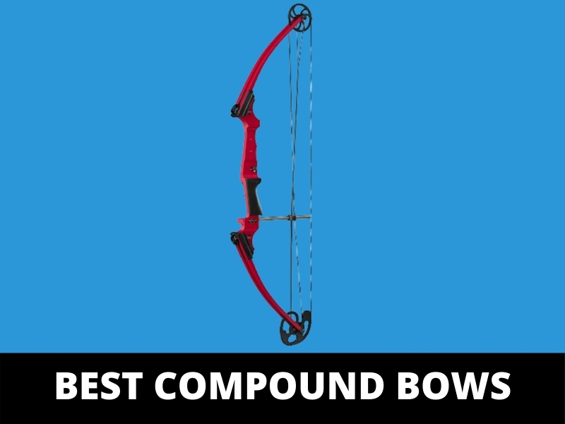 Best Compound Bows