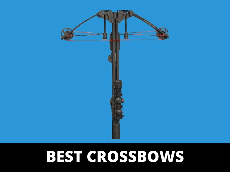 Best Crossbows