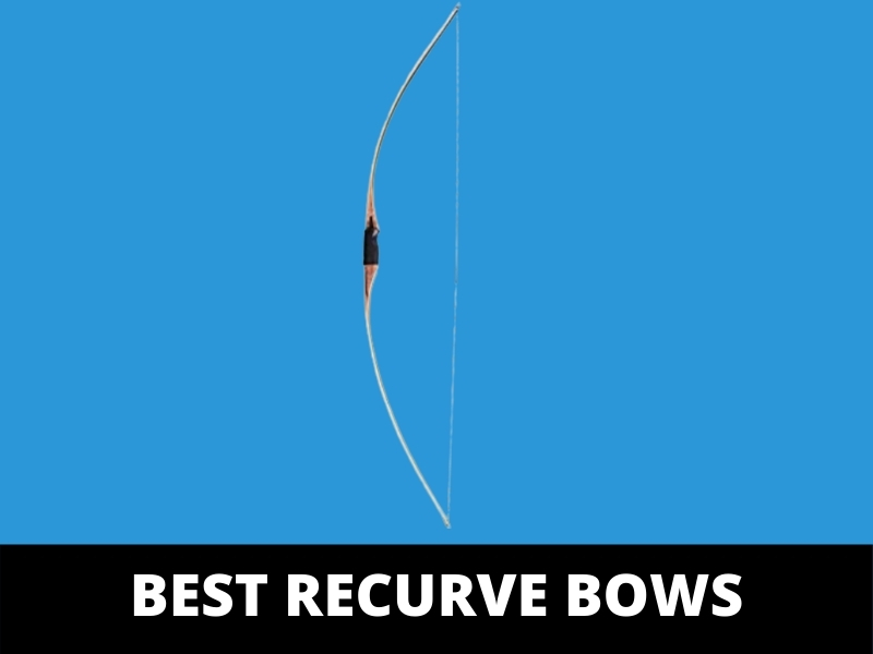 Best Recurve Bows